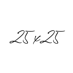 25X25